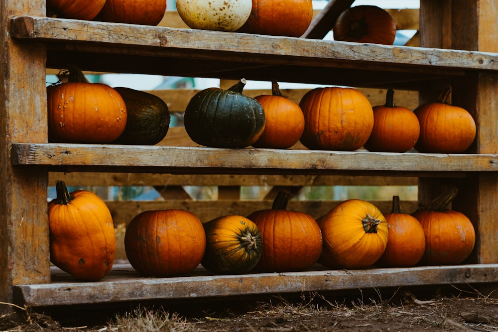 pumpkins on rack