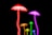 A group of glowing mushrooms in various sizes, each emitting bright neon colors. The mushrooms stand out vividly against a black background, creating a striking contrast. The stems and caps have a translucent, ethereal quality.