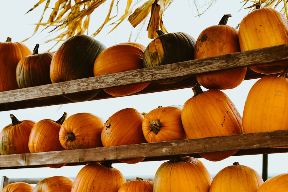 calabazas en bandeja