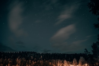 A serene night sky filled with stars and a glowing crescent moon above a peaceful forest.