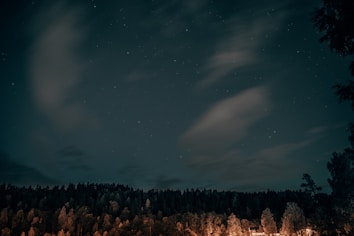 A serene night sky filled with stars hovers above a dense forest. The trees at the horizon are illuminated by a gentle, warm light, creating a contrast against the cool tones of the night. Wispy clouds are scattered across the sky, partly obscuring some of the stars.