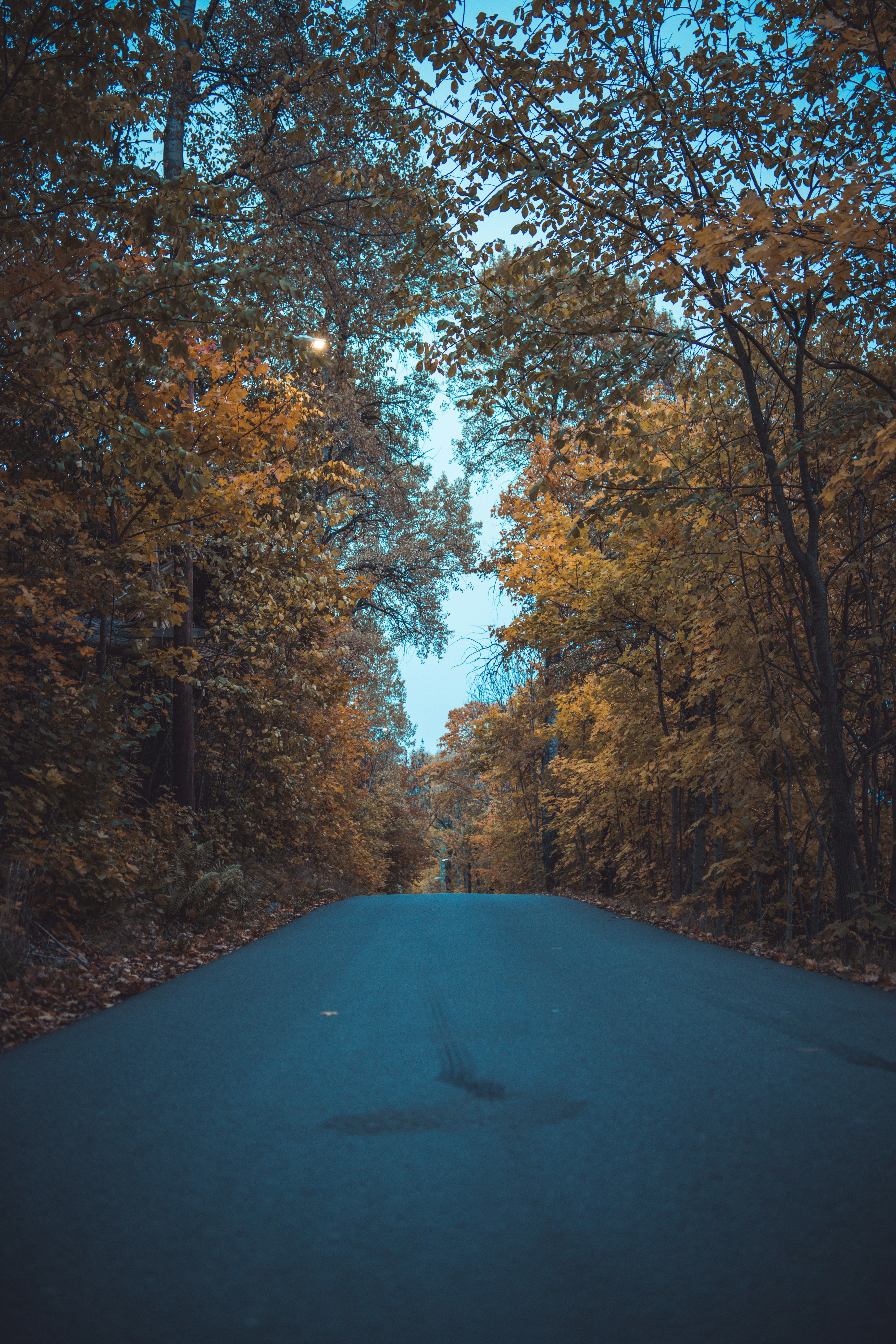 Photo by harissuljic