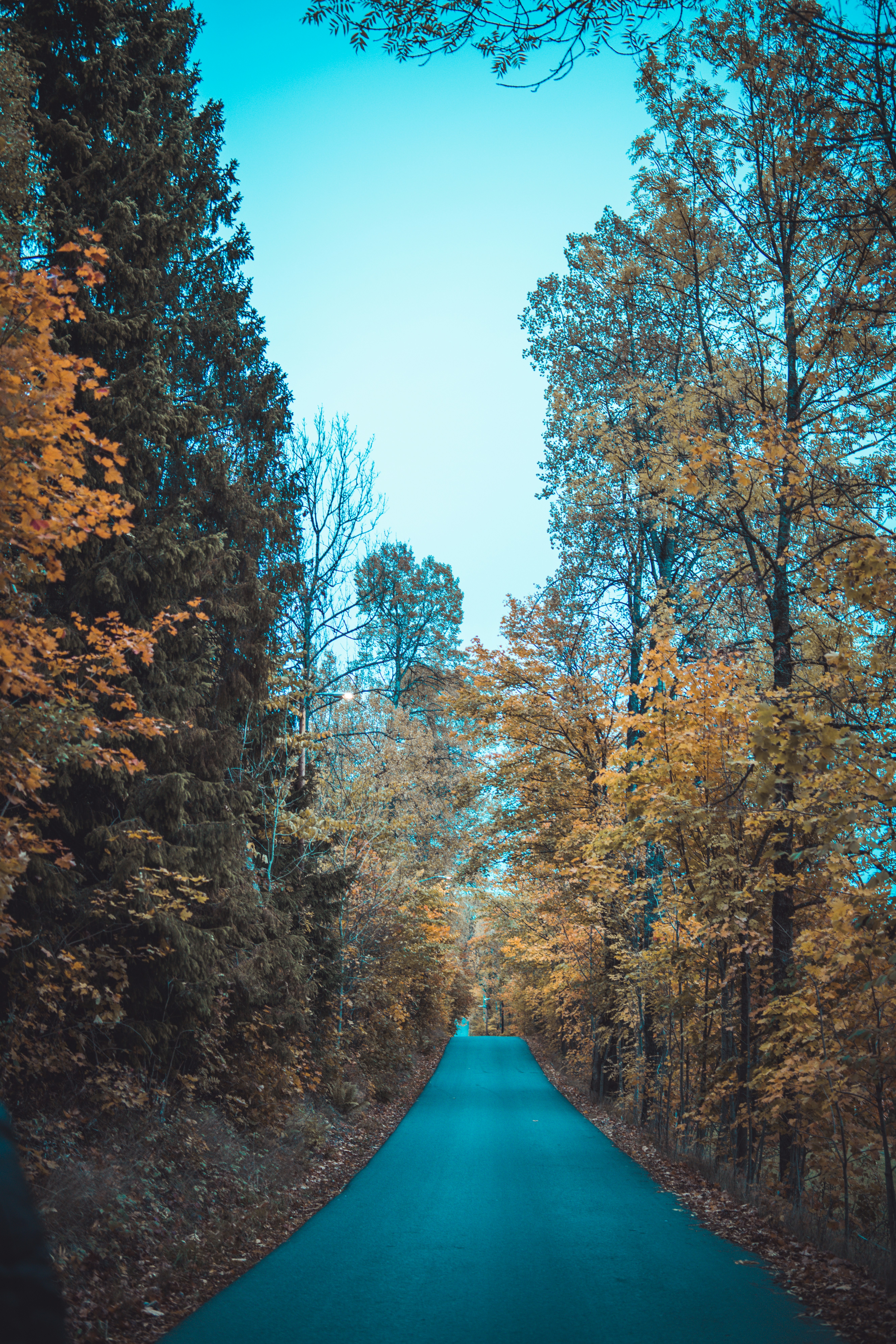 Photo by harissuljic