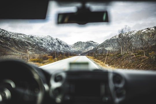 person driving car in Lardal Municipality Norway