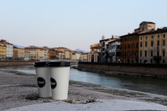 shallow focus photography of two cups in Pisa Italy