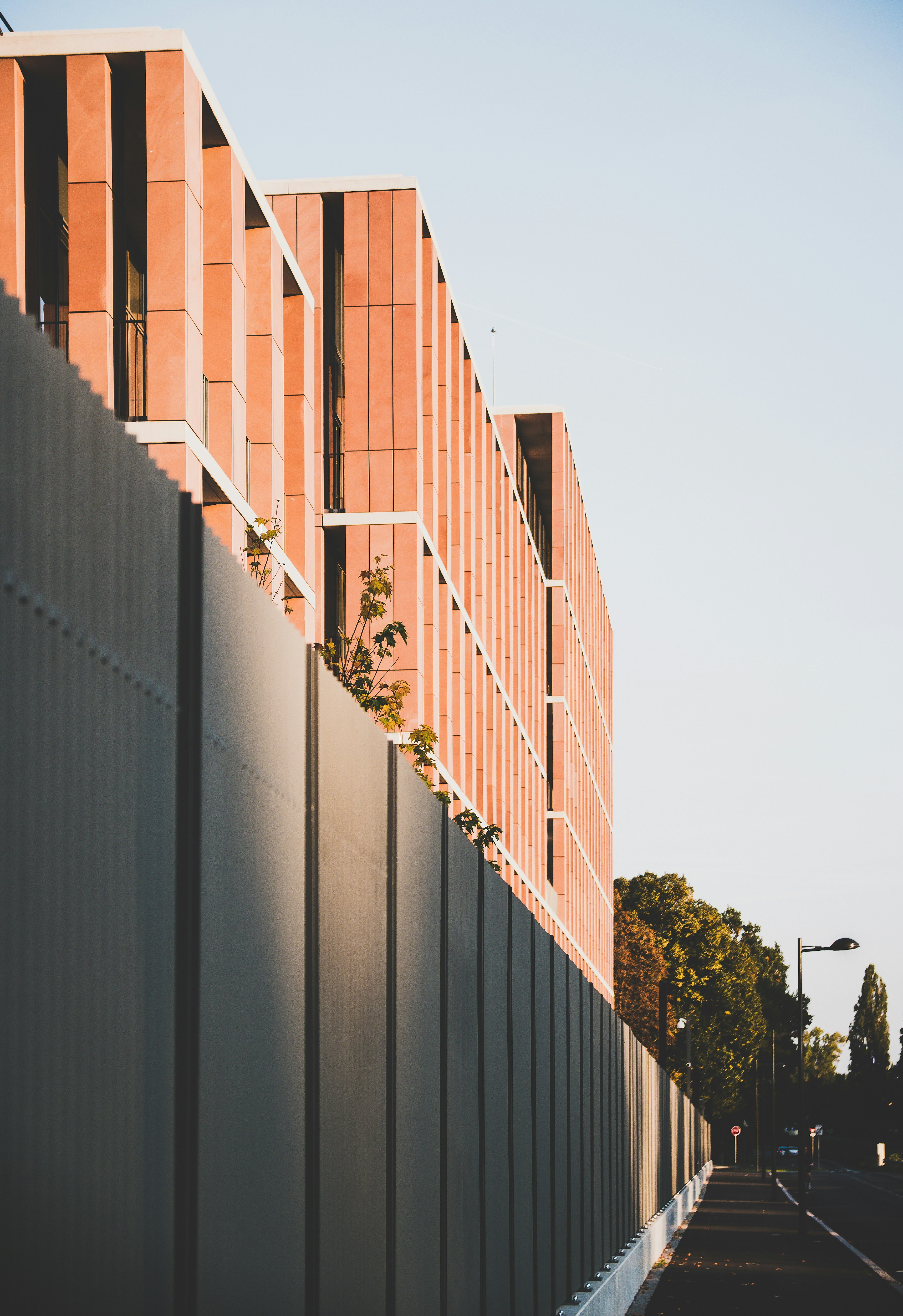 Photo by davidleveque