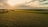 Aerial shot of a drone flying over a green agricultural field at sunset.