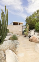 The rugged Arizona desert mountains framing the school’s modest, stone-clad building.