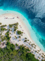 people on beach island during daytime