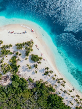 people on beach island during daytime