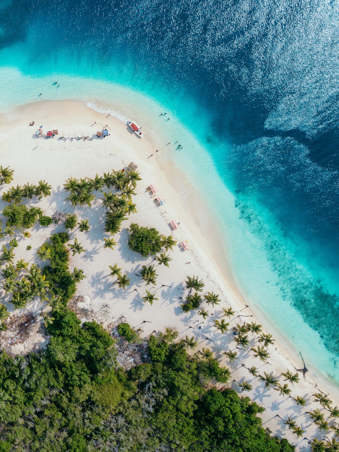 people on beach island during daytime