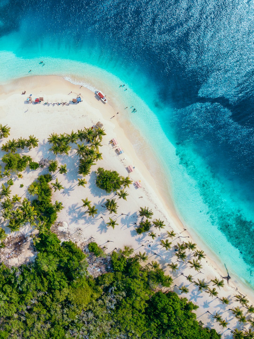 people on beach island during daytime