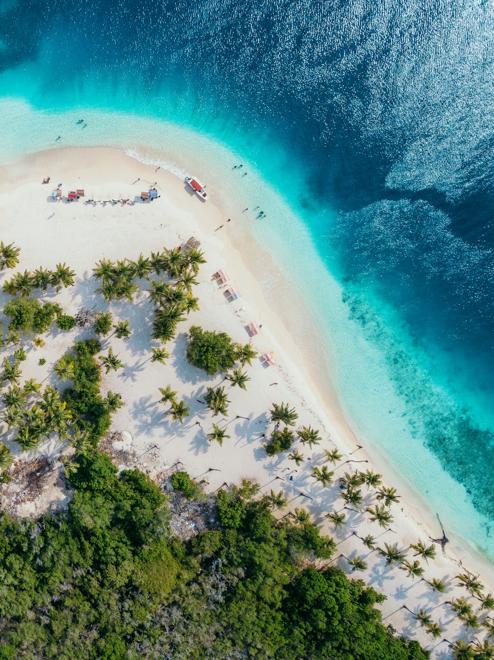 people on beach island during daytime