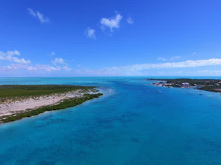 A serene aerial view of lush Andros island coastline with crystal-clear turquoise waters and untouched mangroves.