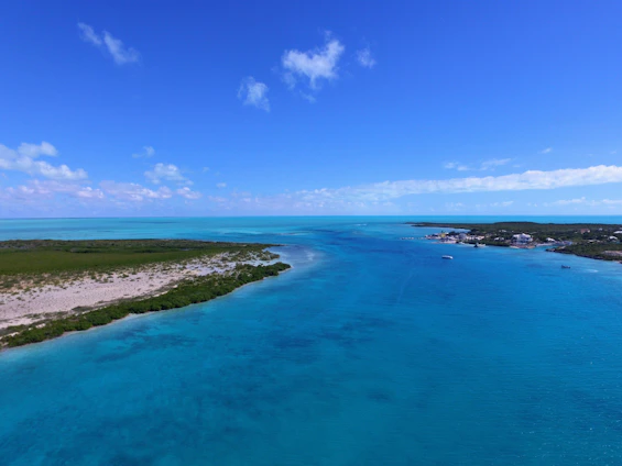 A serene aerial view of lush Andros island coastline with crystal-clear turquoise waters and untouched mangroves.