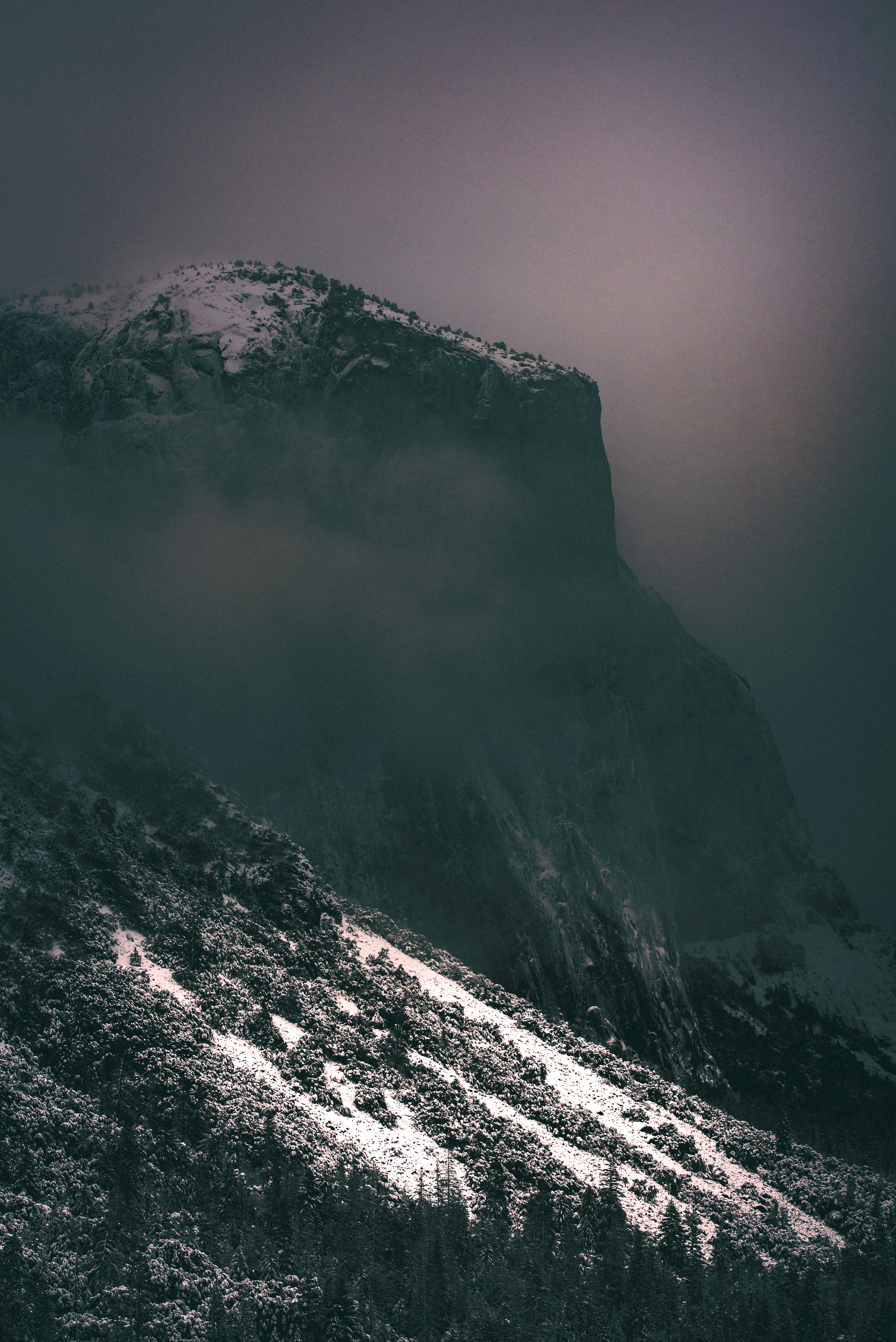 Photo by mischievous_penguins