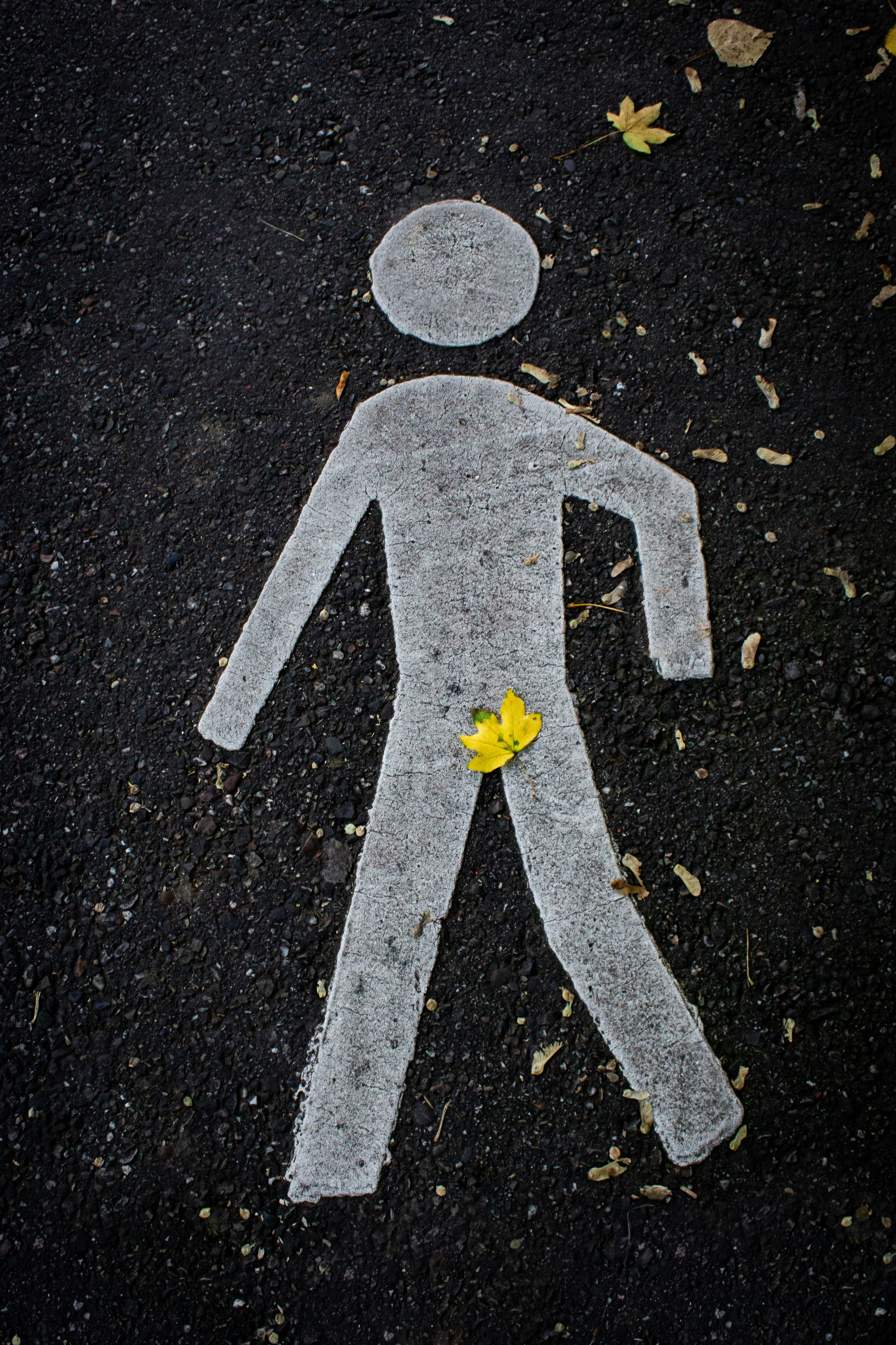 I was on my way to take some pictures of the autumn leaves when I stumbeled upon this guy, naked on the floor with nature giving him a hand to cover up ;-)