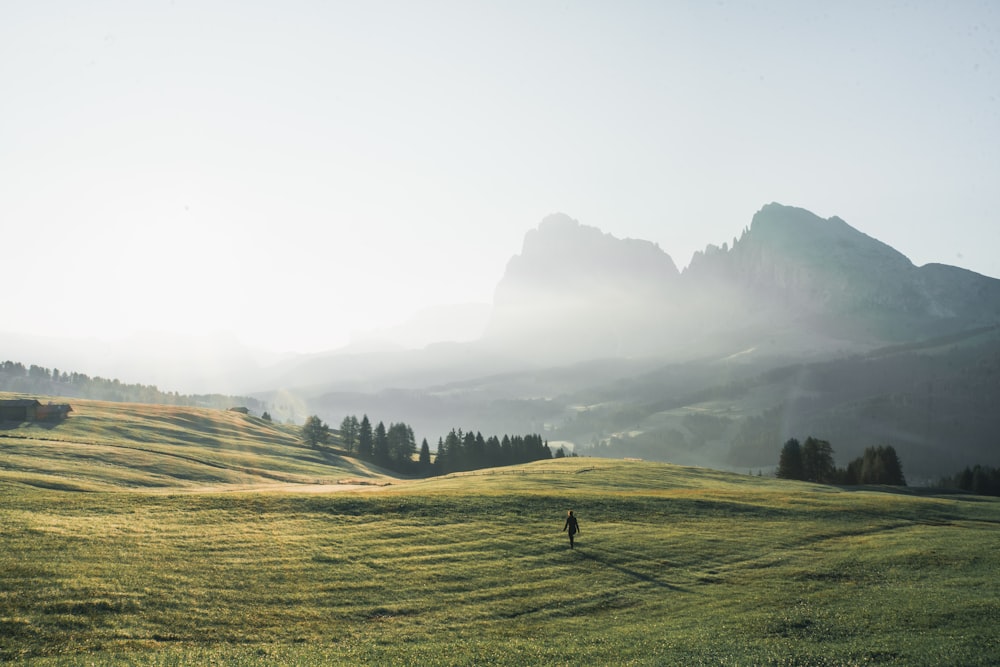 a person standing in a field with mountains in the background