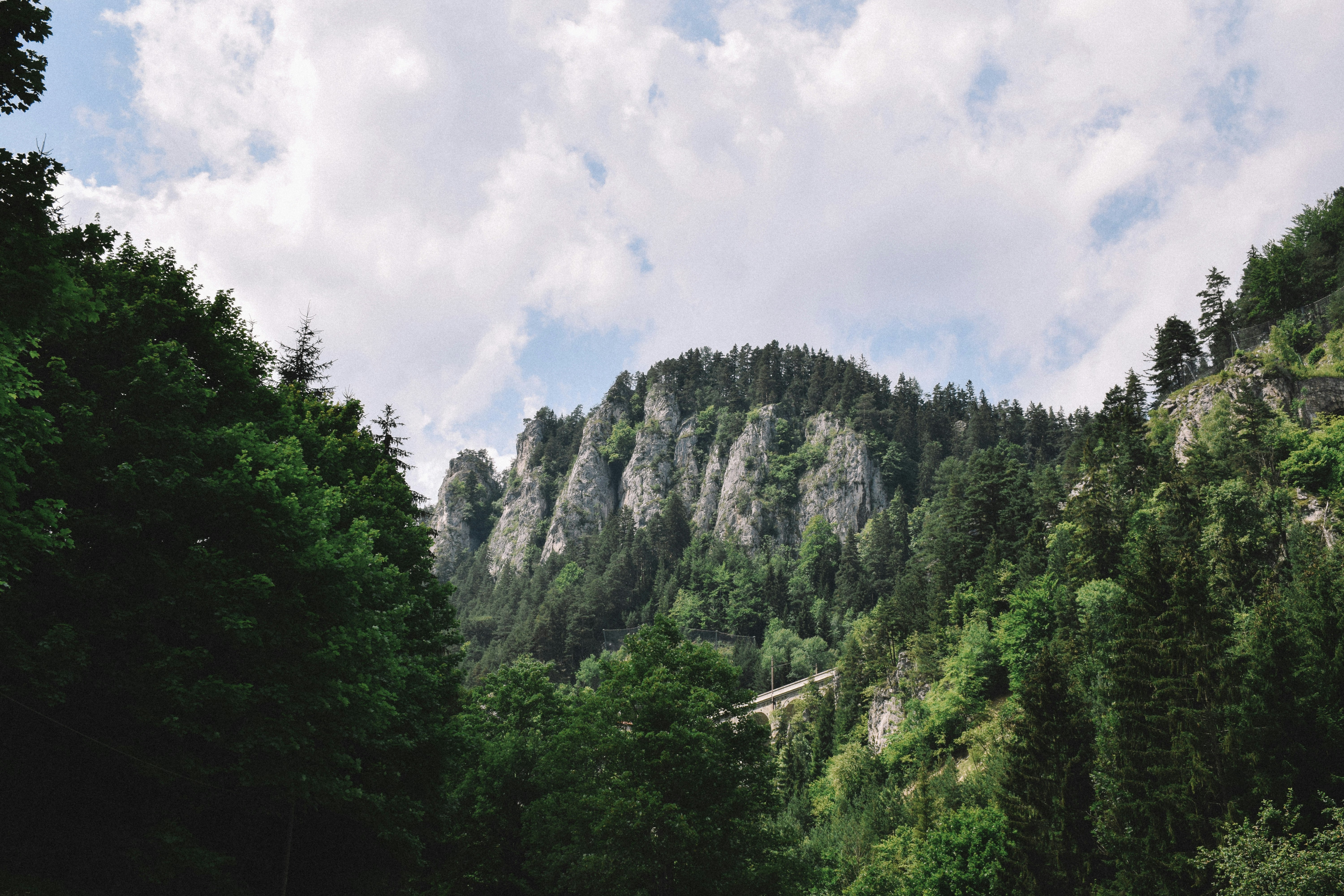 Photo by nothingrandom