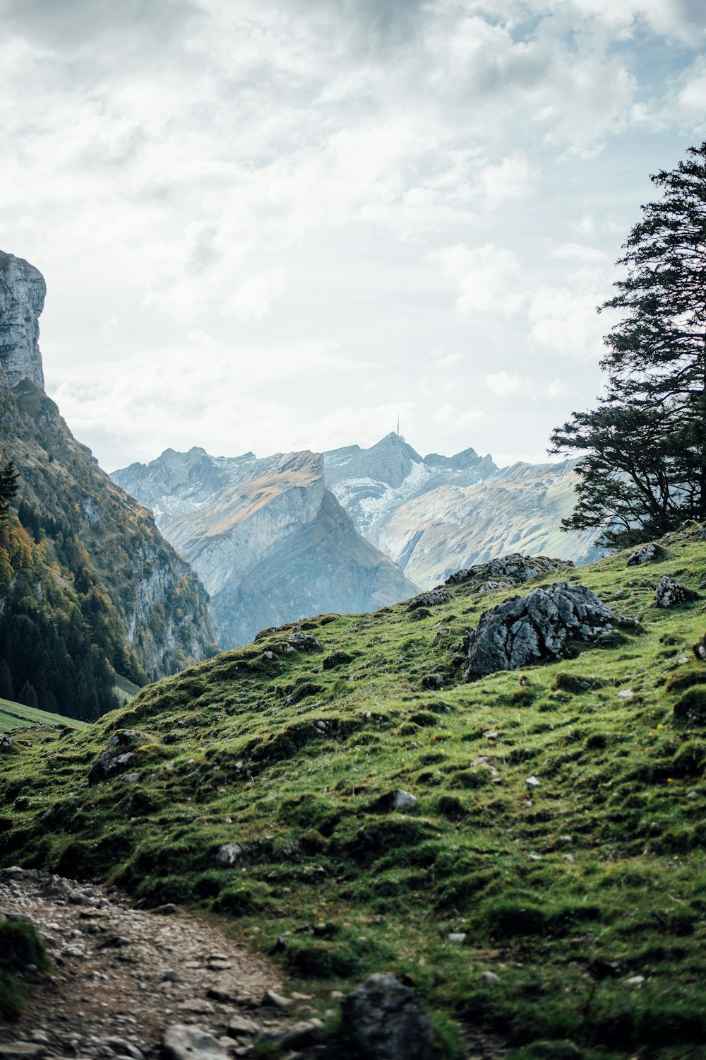 view of gray mountain range from a hill