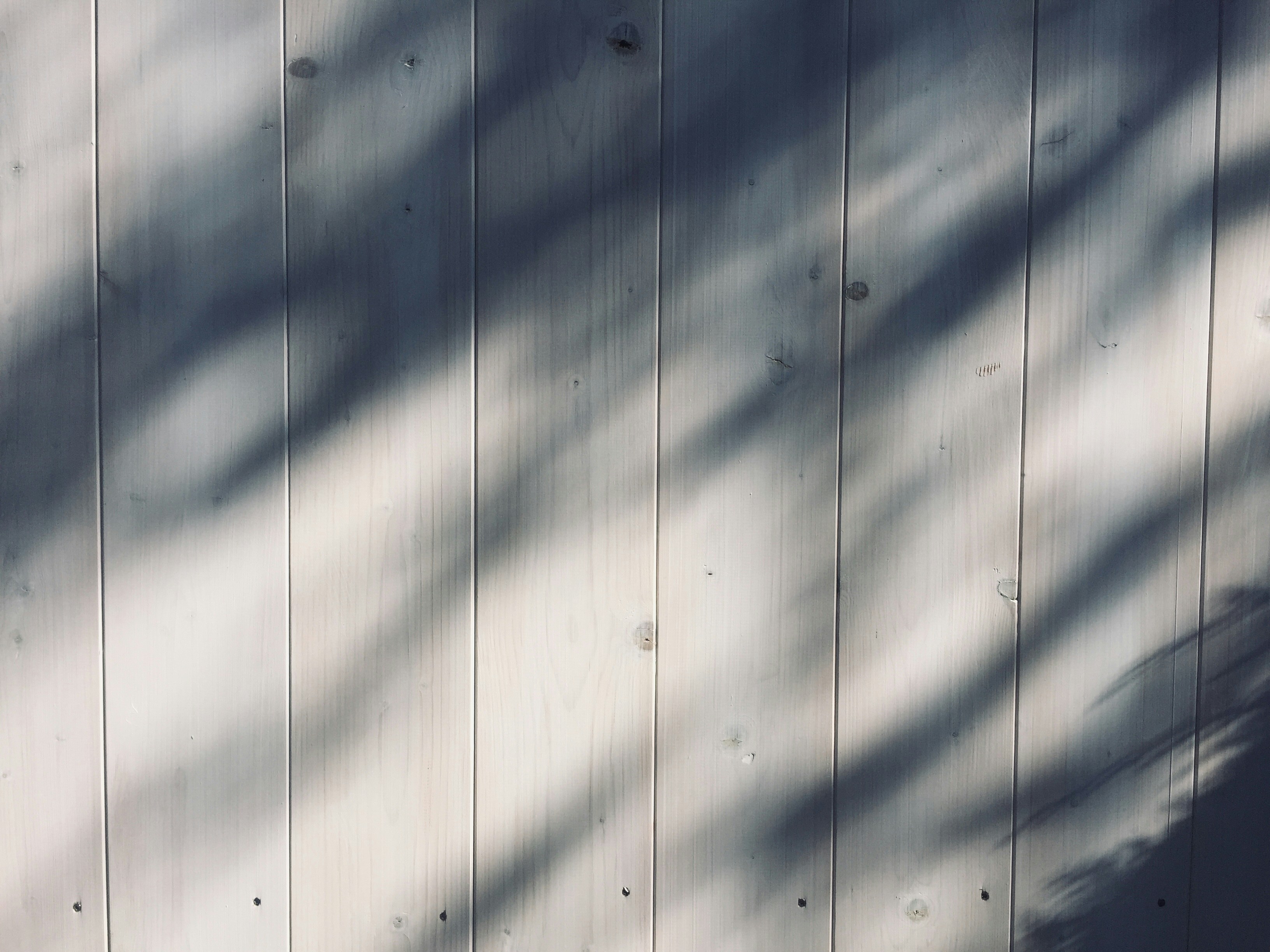 Photo by ellen_stein