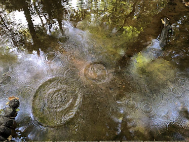 A vibrant ripple effect spreading across a calm digital pond.