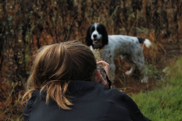 A person with light brown hair is seen from the back, wearing a dark jacket while taking a photograph of a black and white dog standing in a field of dry plants. The dog, with its tongue out, appears focused on the person.