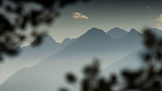 mountain selective focus photography in Vervò Italy