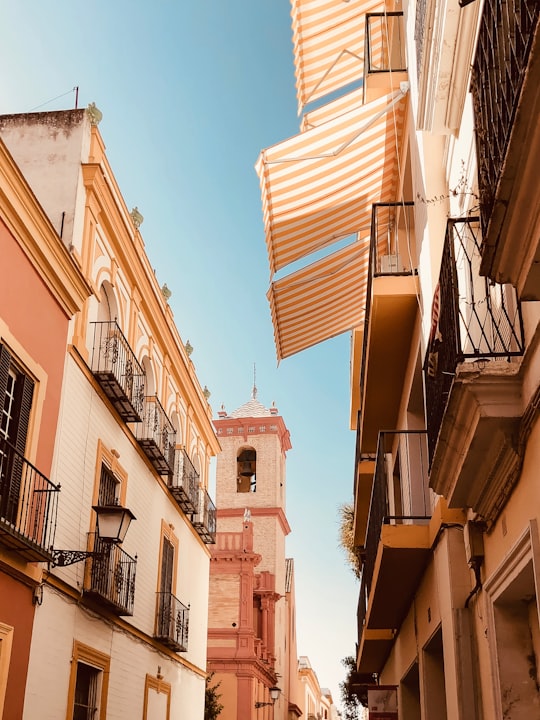 photo of Sevilla Town near Cathedral of Saint Mary of the See