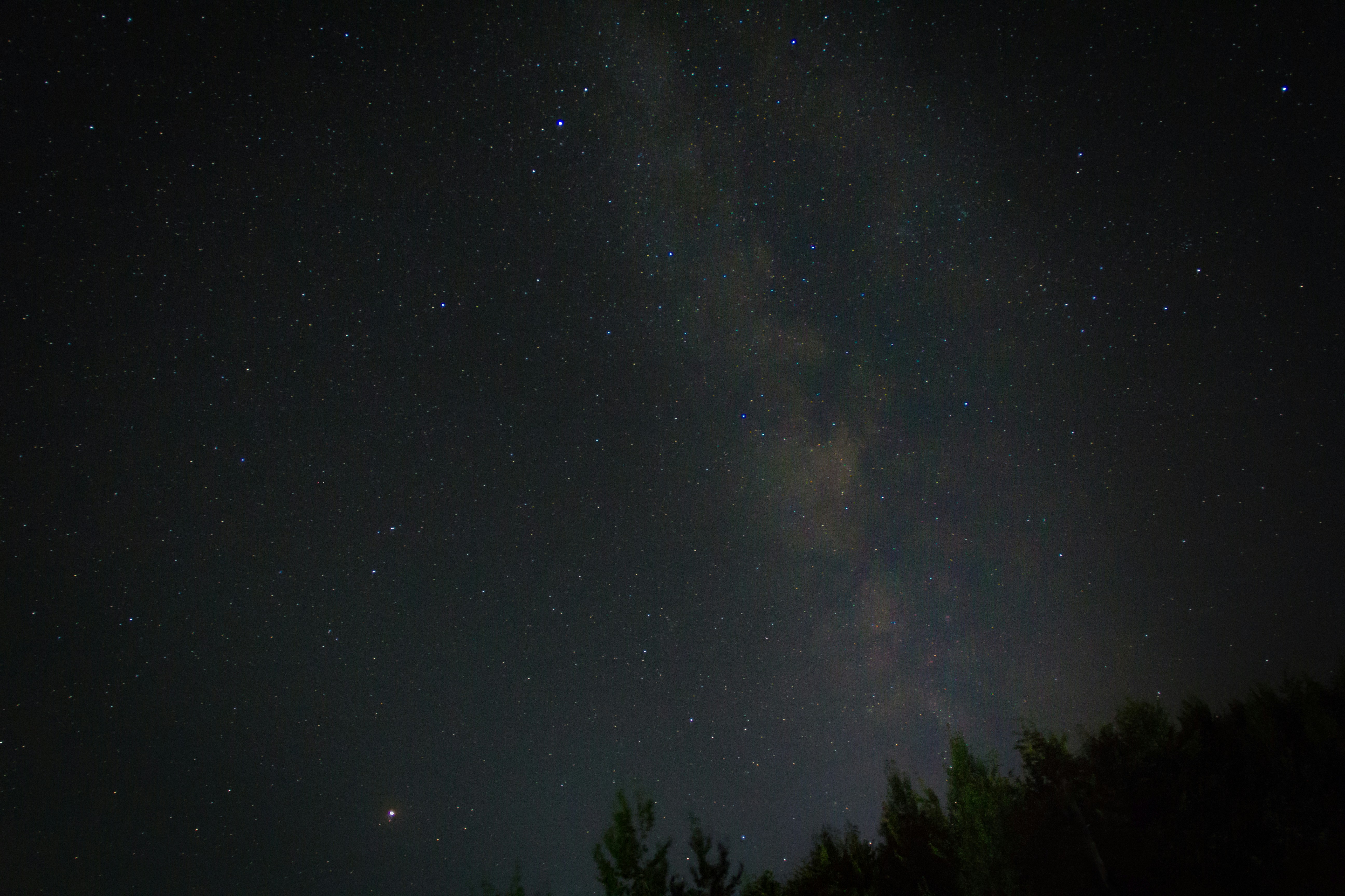 Photo by serhii_stets