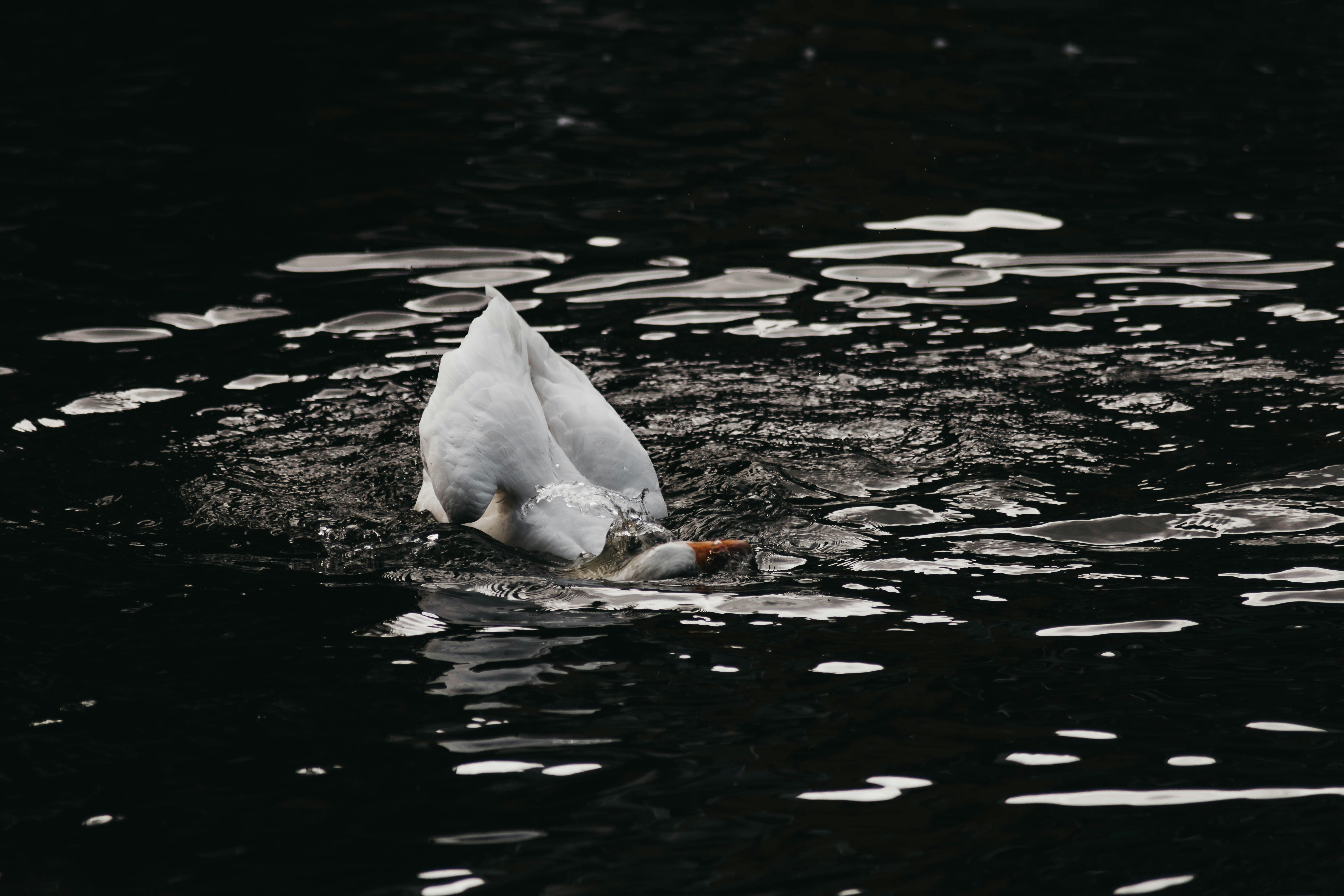 Photo by isaacmehegan