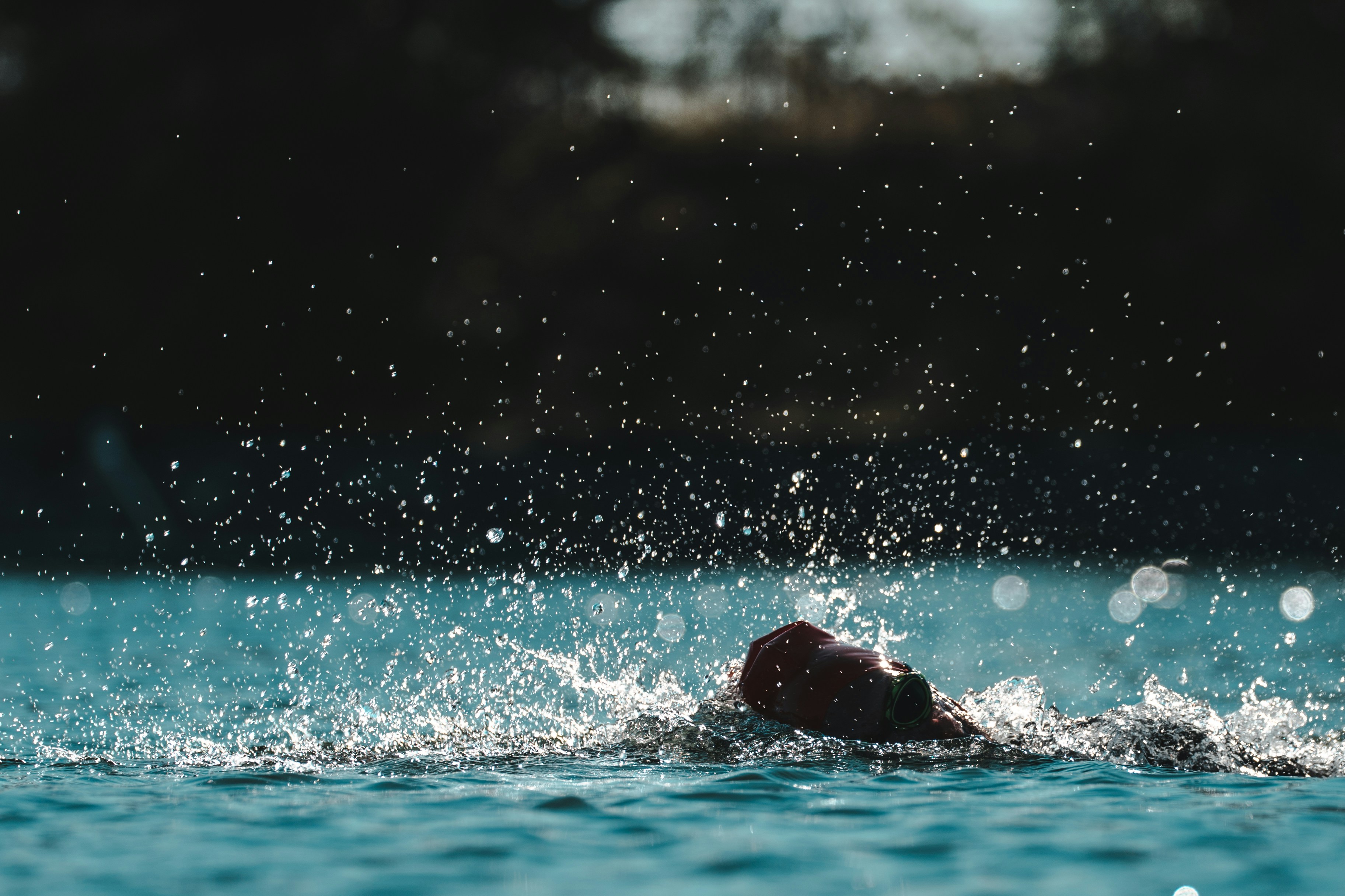 Photo by louistricot