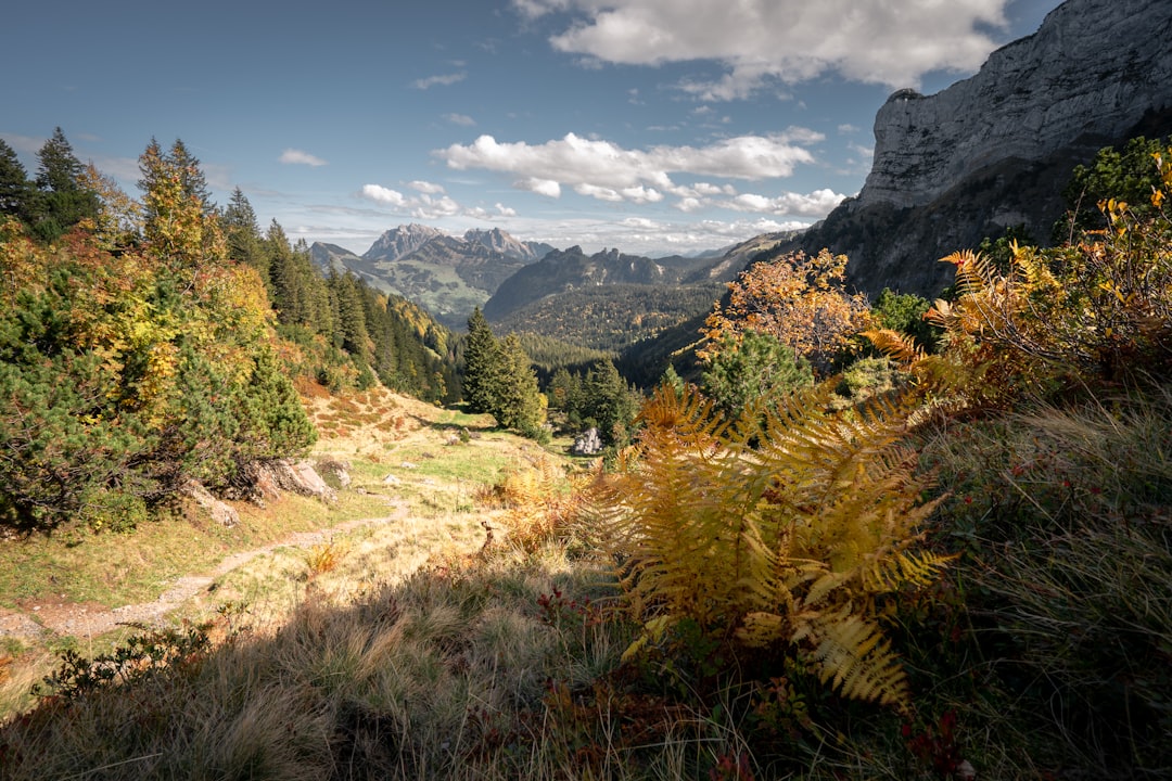 Nature reserve photo spot Amden Glegghorn