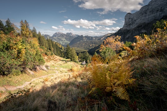 gray rocky mountain during daytime in Amden Switzerland