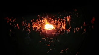 people gathering near bonefire