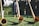 A group of people wearing traditional Bavarian attire are playing long wooden alphorns on a grassy area. Sunlight gently illuminates the scene, casting soft shadows on the grass. The background includes a white building and foliage.