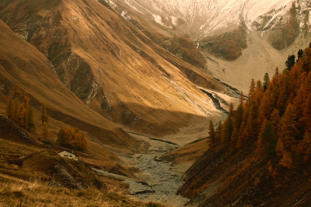 photo of Zernez Highland near Flüela Pass