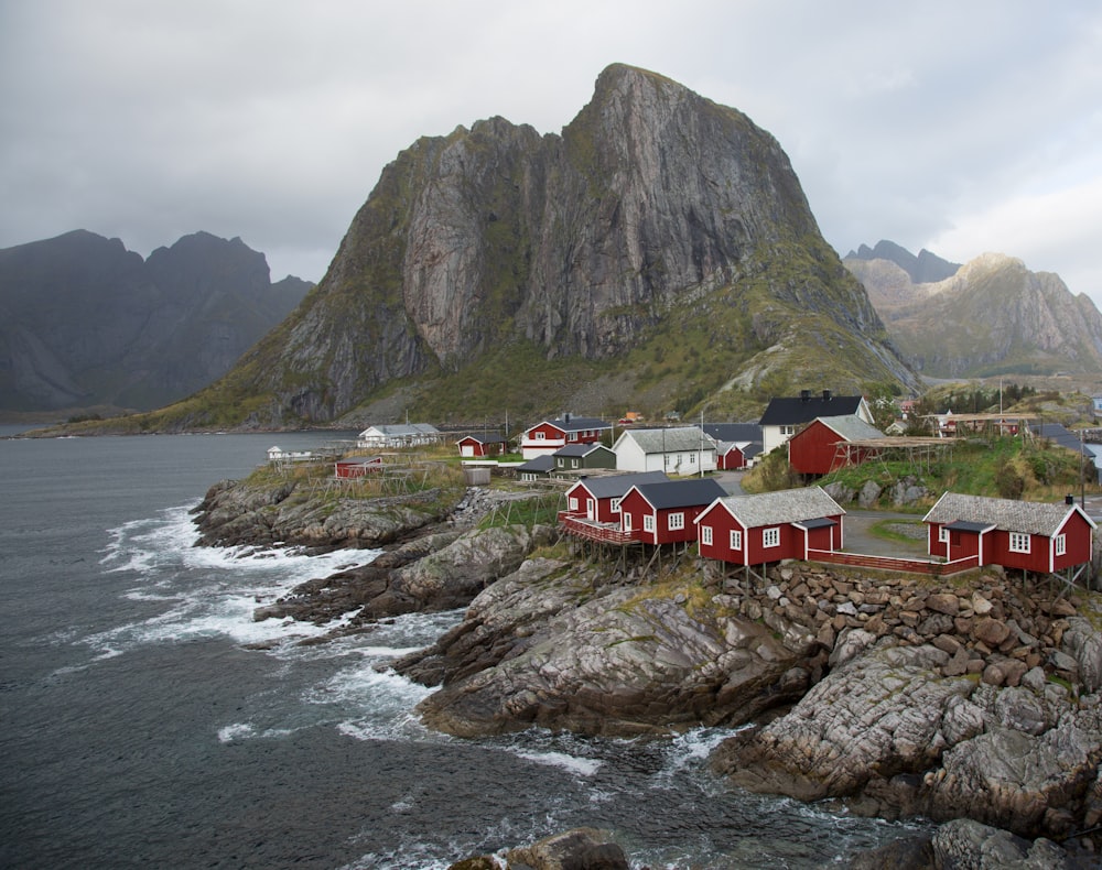 houses near body of water during daytime