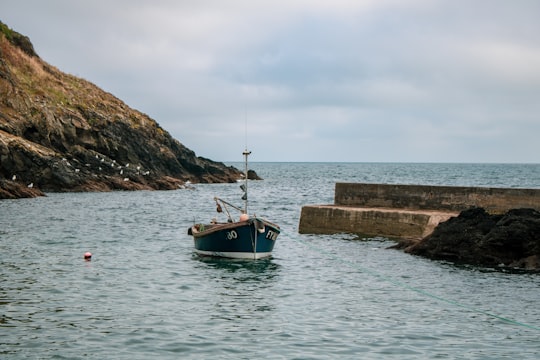 photo of Portloe Cliff near National Trust Lizard Point