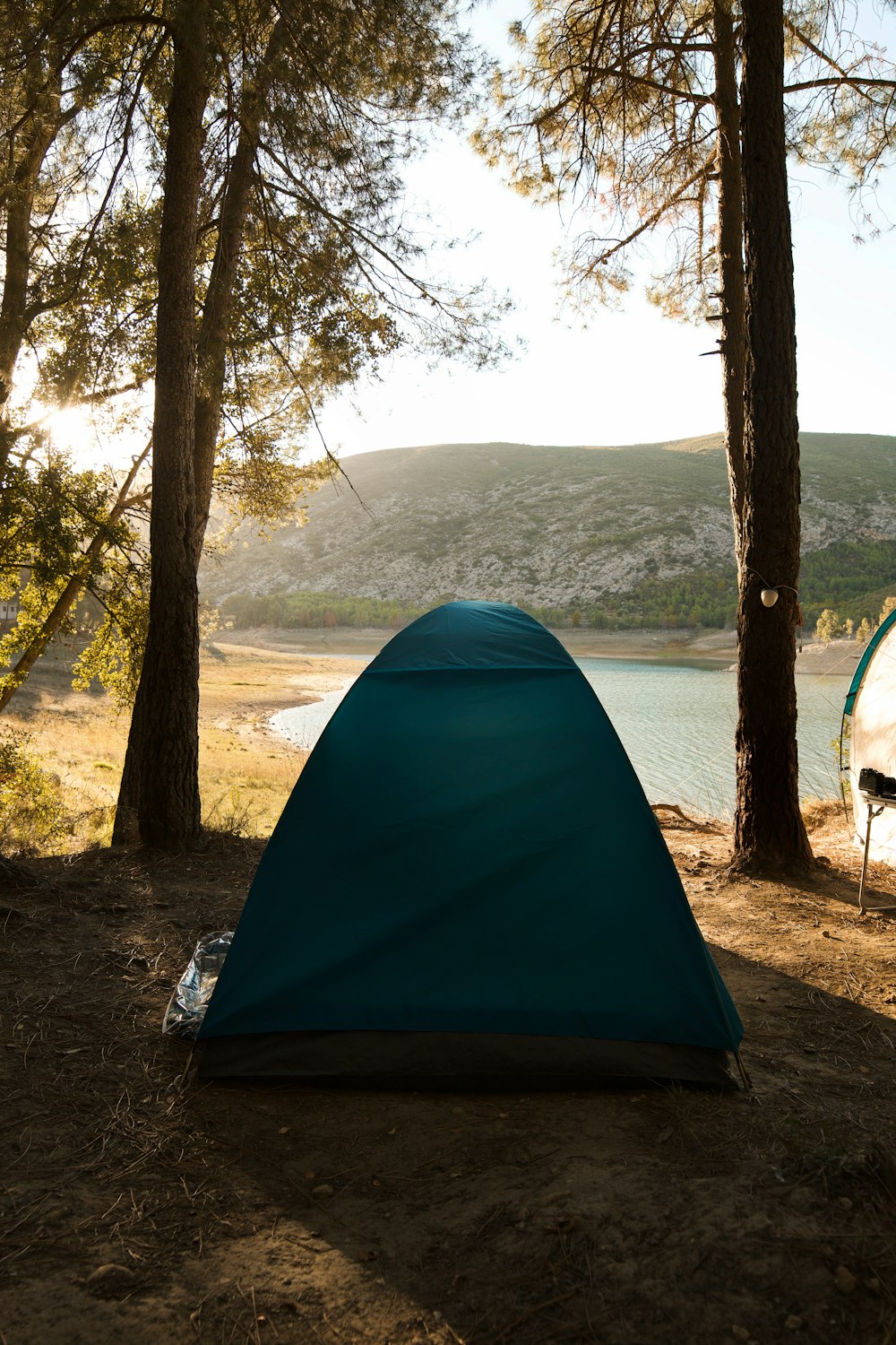 teal tent near trees and lake during day