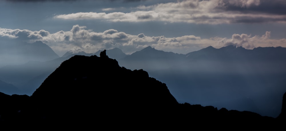 a bird is sitting on top of a mountain