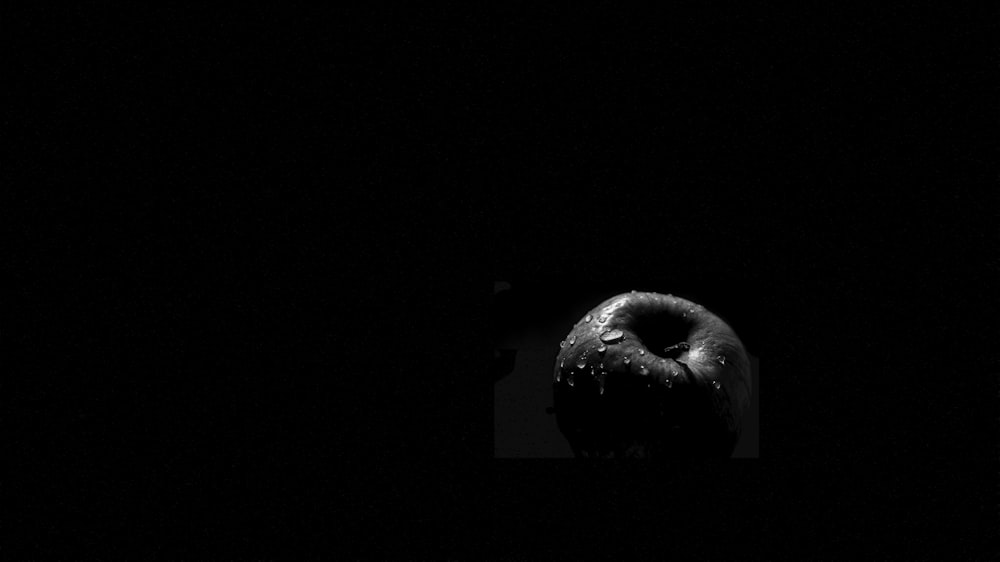 grayscale photo of apple