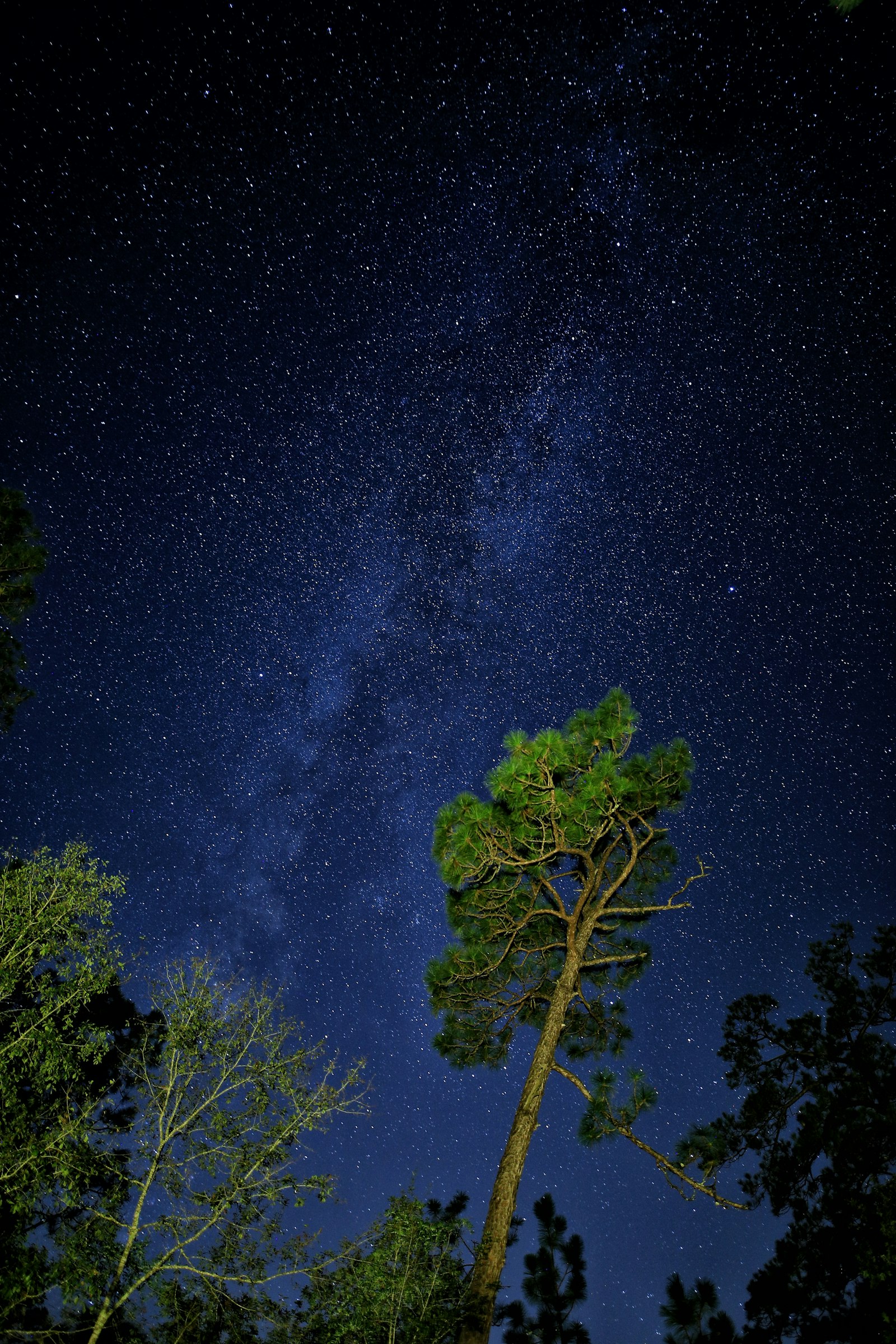 Canon EOS 6D sample photo. View of milkyway photography
