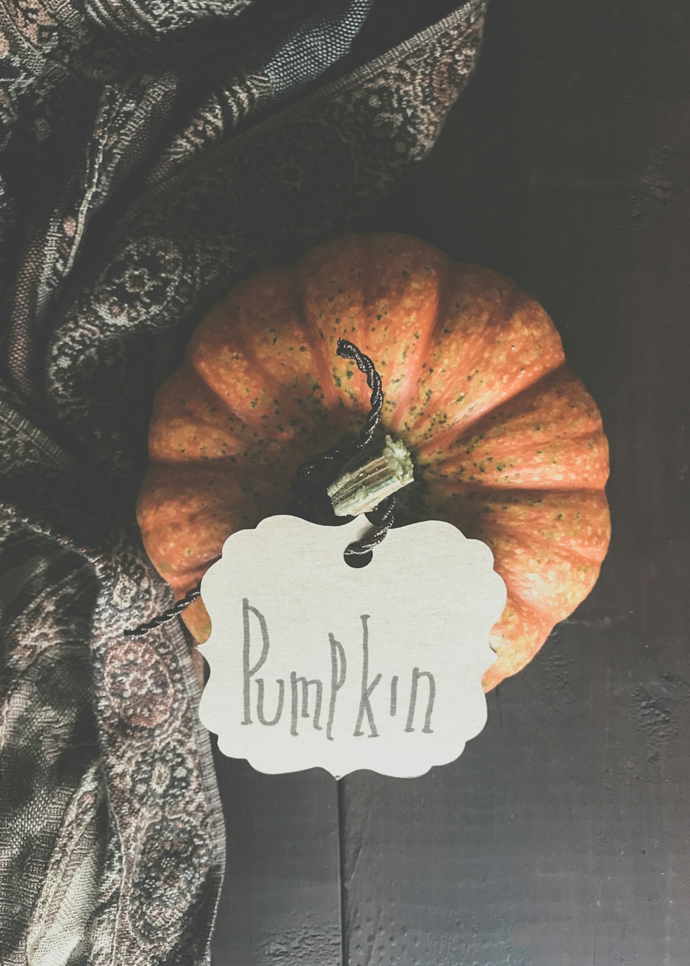 pumpkin closeup photo