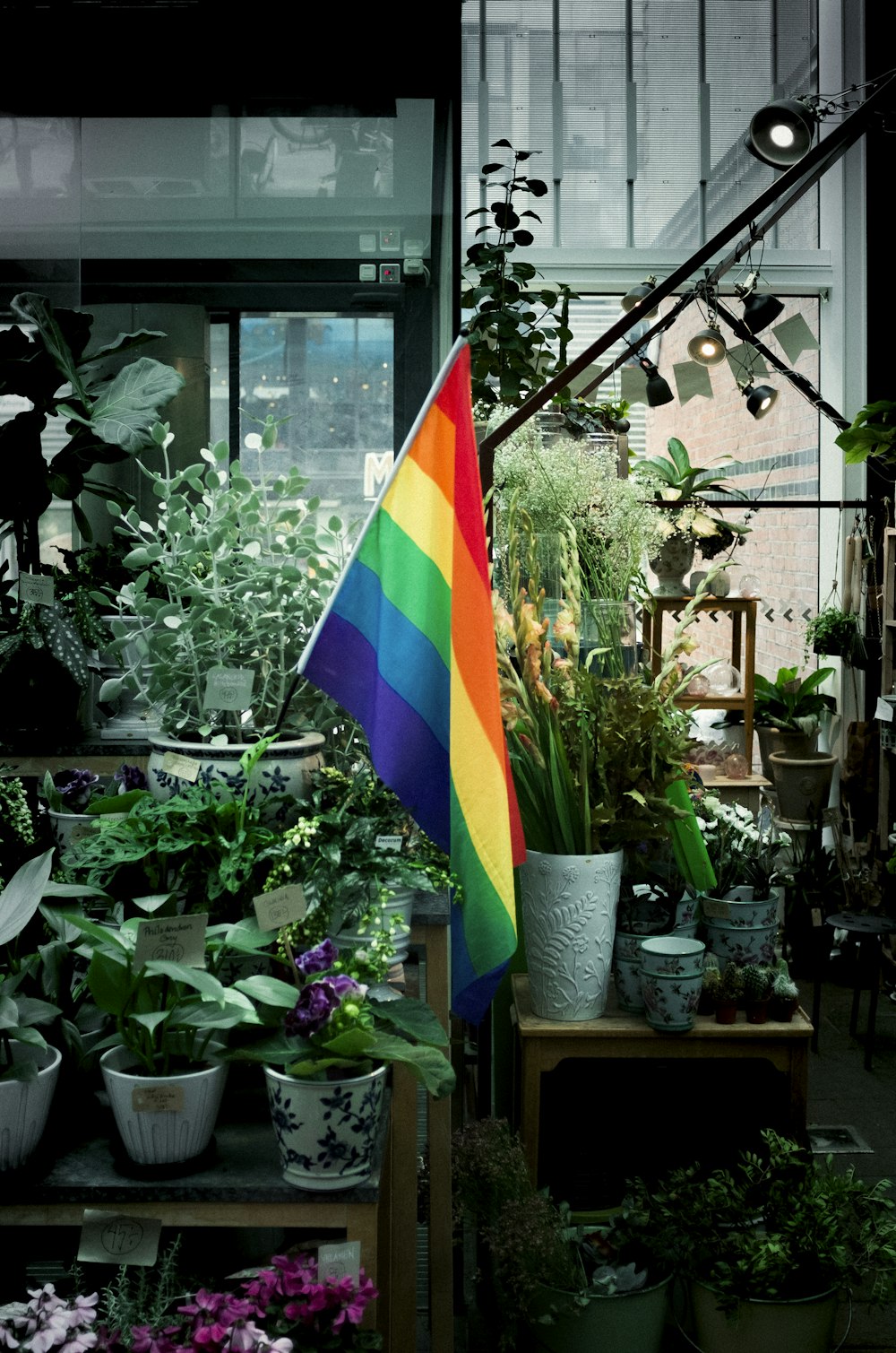 LGBTQ+ 커뮤니티의 무지개 깃발