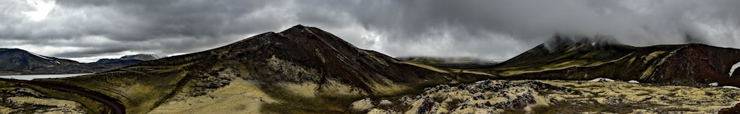 Wildlife photo spot Landmannalaugar Dyrhólaey Lighthouse