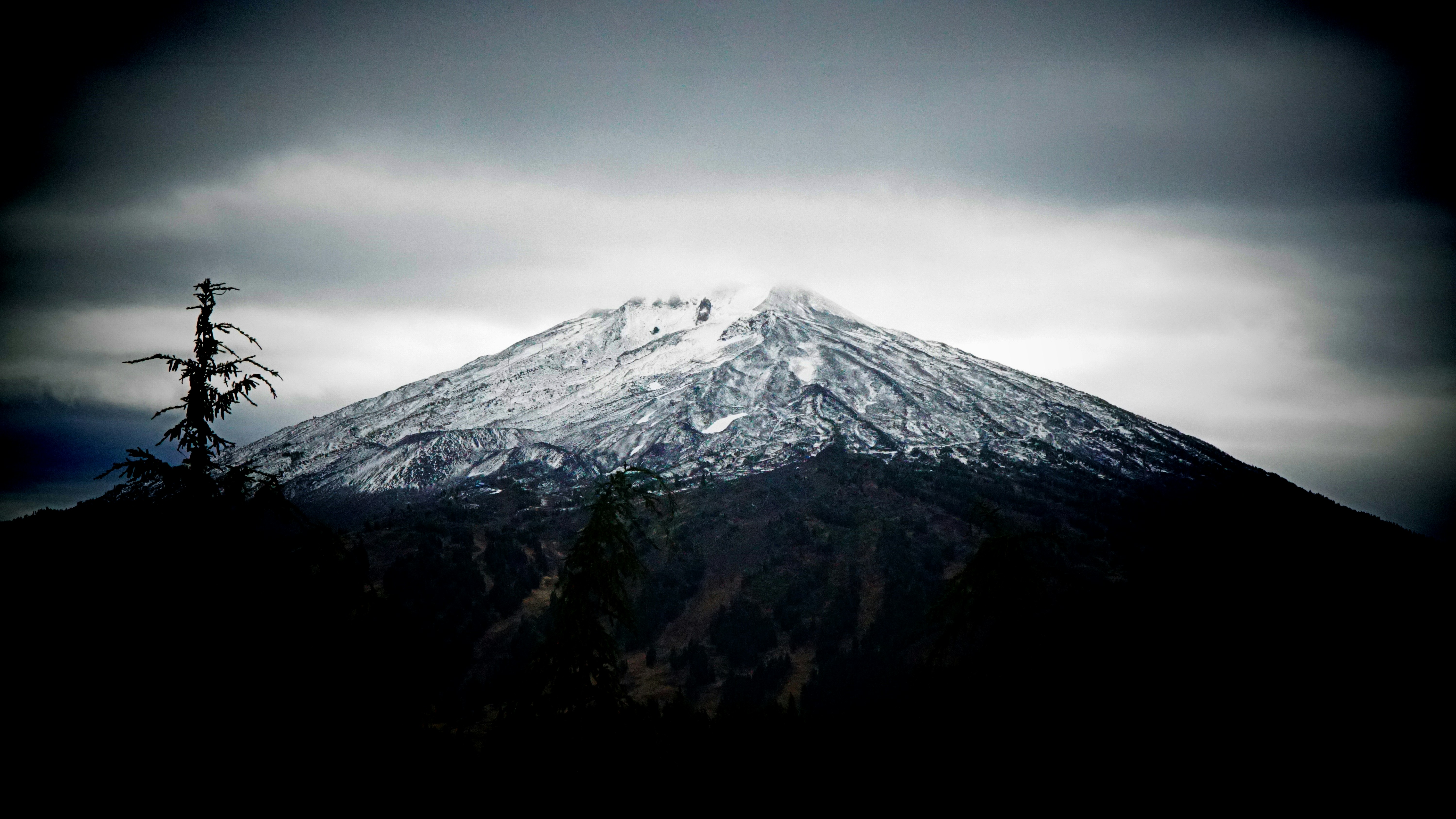 Photo by tannerboley