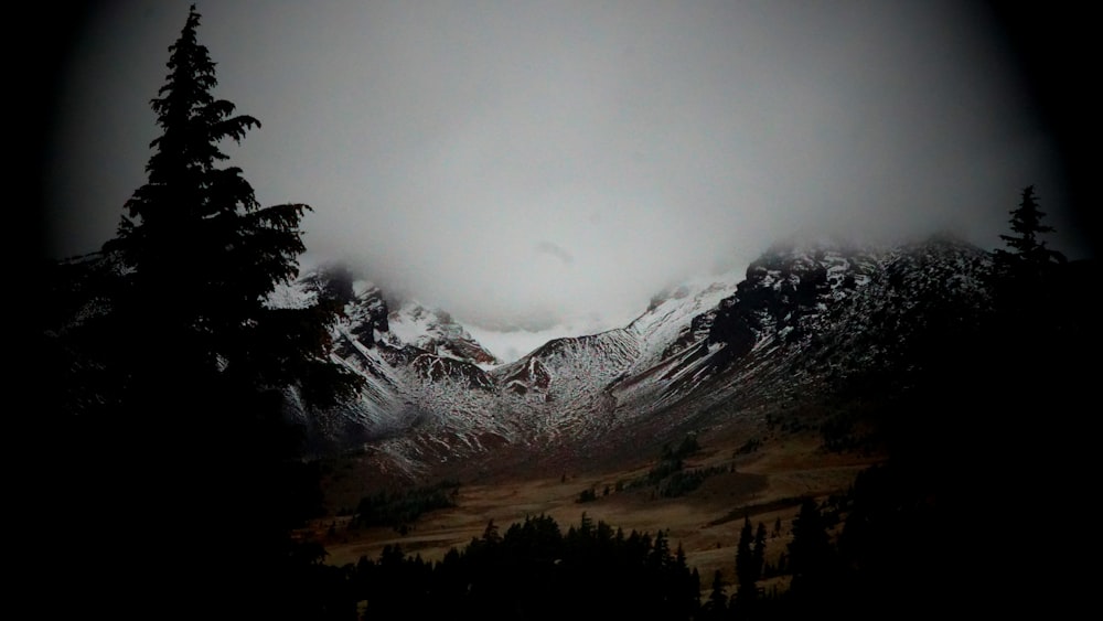 snow covered mountains