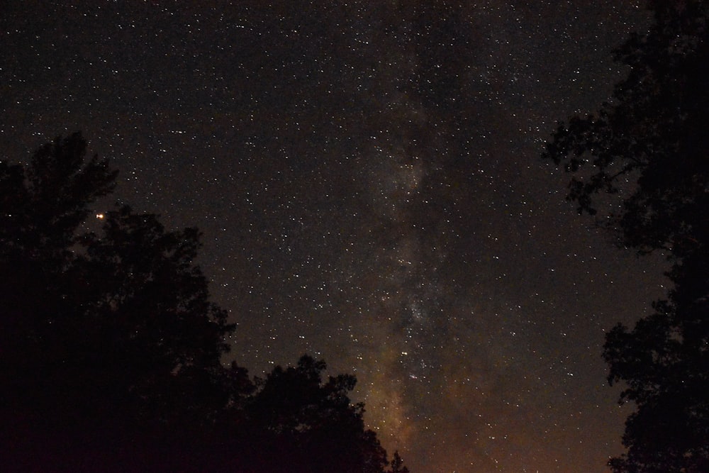 Fotografía de ángulo bajo de estrellas durante la noche