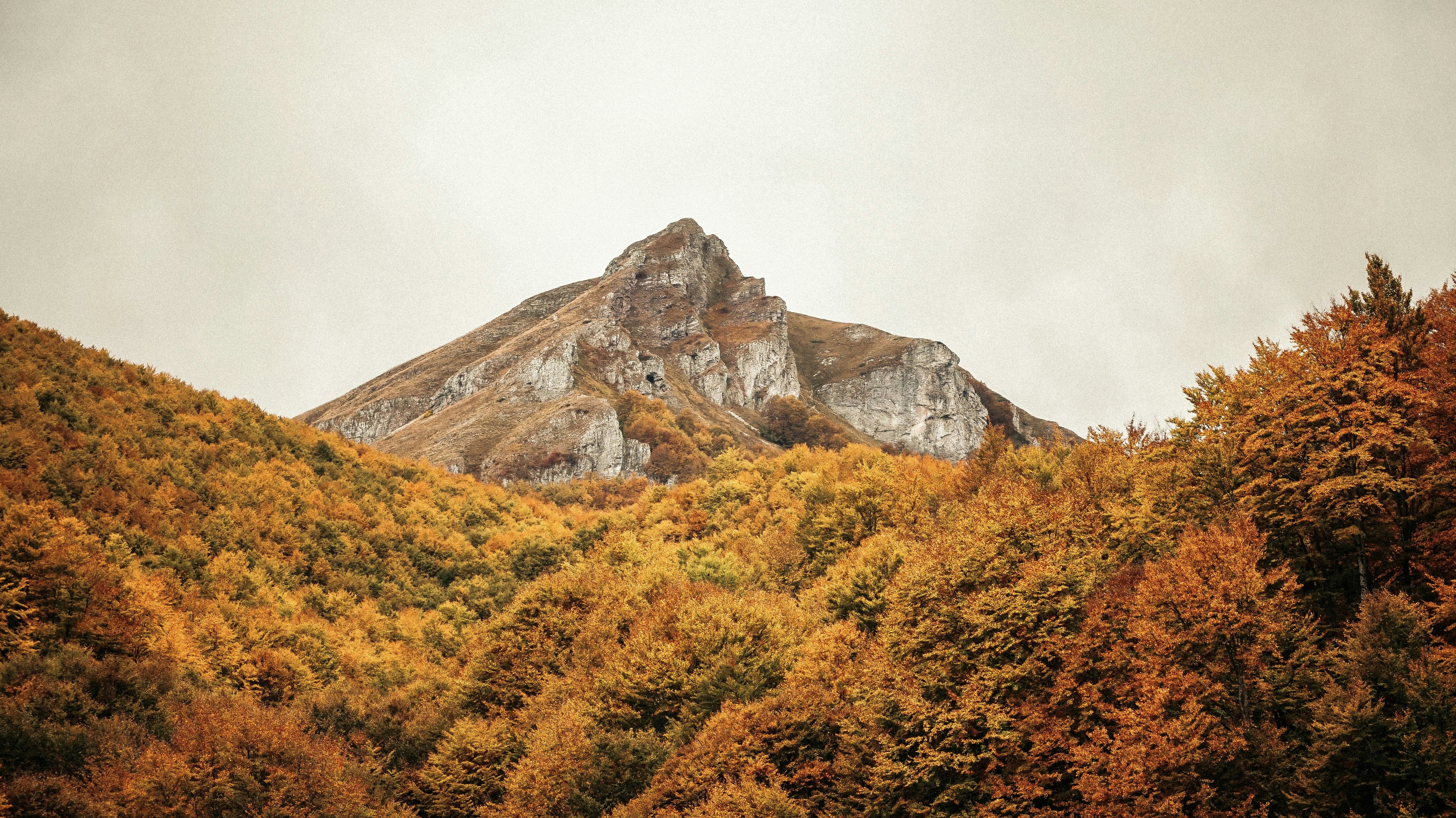 Photo by alinuredini